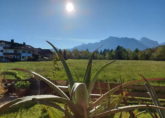 Im Haus Schlossblick Apartment
